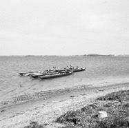 1971_Nakskov Roklub Vejlø skov-17-04-21x.jpg